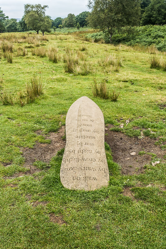 Companion Stone Companion Stone